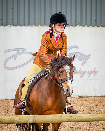 Solhiem Equestrian 2018