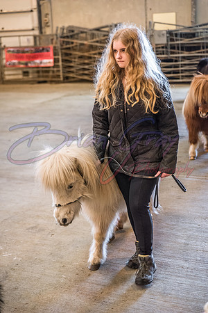 Serrang Equestrian 2018