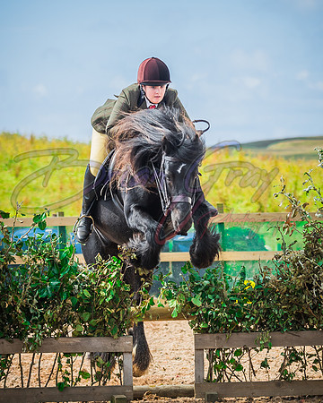 Solhiem Equestrian 2018