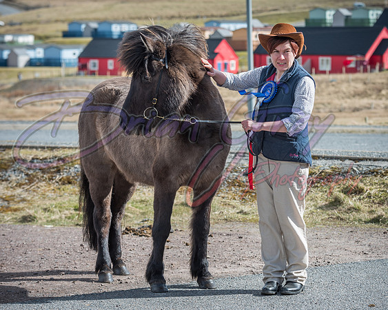 Serrang Equestrian 2018