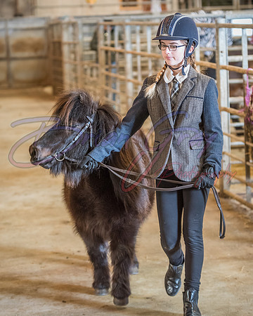 Serrang Equestrian 2018