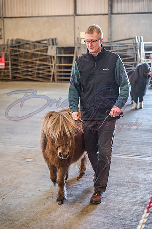 Serrang Equestrian 2018