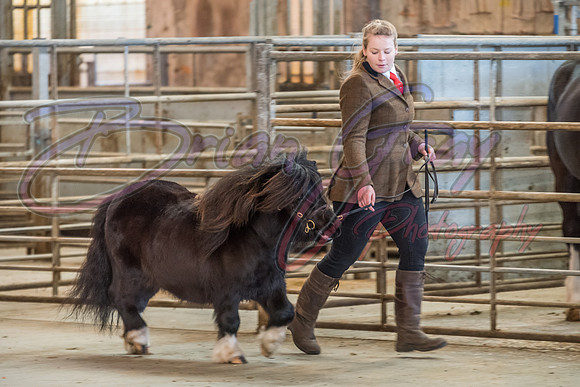 Serrang Equestrian 2018