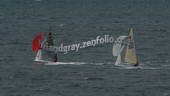 GBR15046 and GBR15113