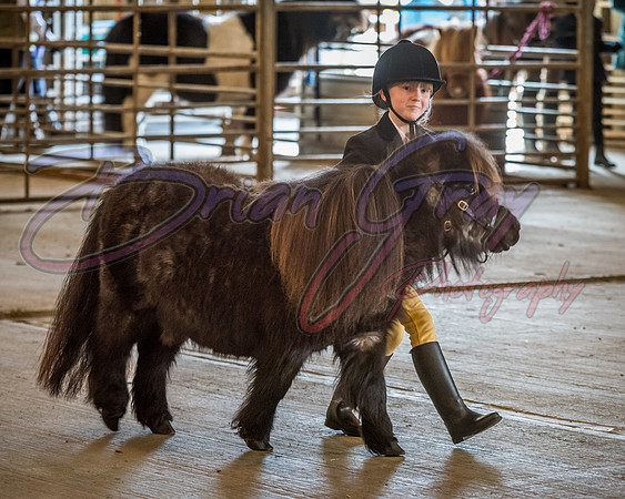 Serrang Equestrian 2018