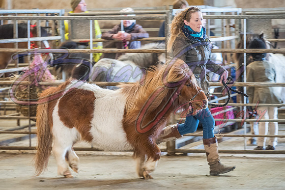 Serrang Equestrian 2018