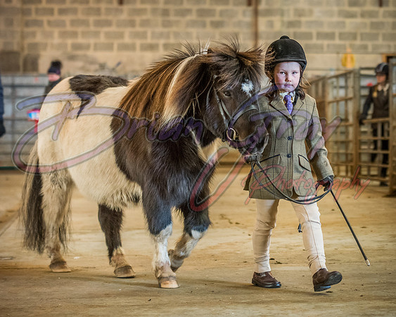 Serrang Equestrian 2018