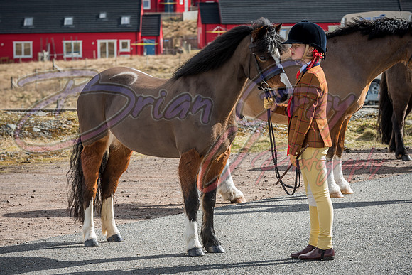 Serrang Equestrian 2018
