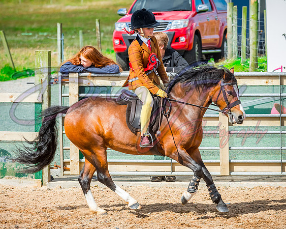 Solhiem Equestrian 2018