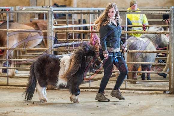 Serrang Equestrian 2018