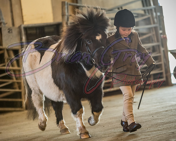 Serrang Equestrian 2018