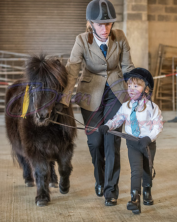 Serrang Equestrian 2018