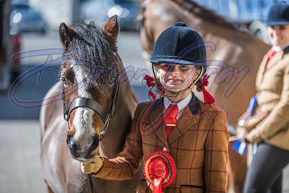 Serrang Equestrian 2018