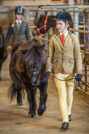 Serrang Equestrian 2018