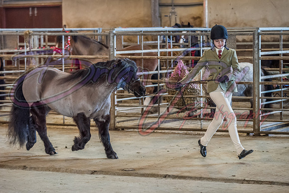 Serrang Equestrian 2018