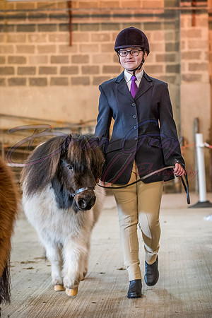 Serrang Equestrian 2018