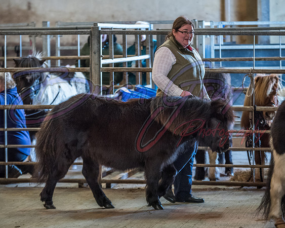 Serrang Equestrian 2018