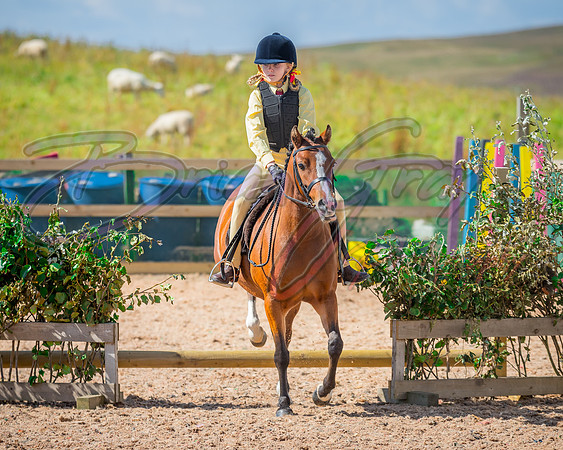 Solhiem Equestrian 2018