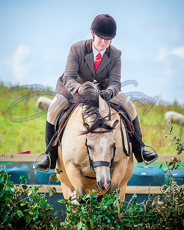 Solhiem Equestrian 2018