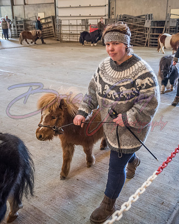 Serrang Equestrian 2018