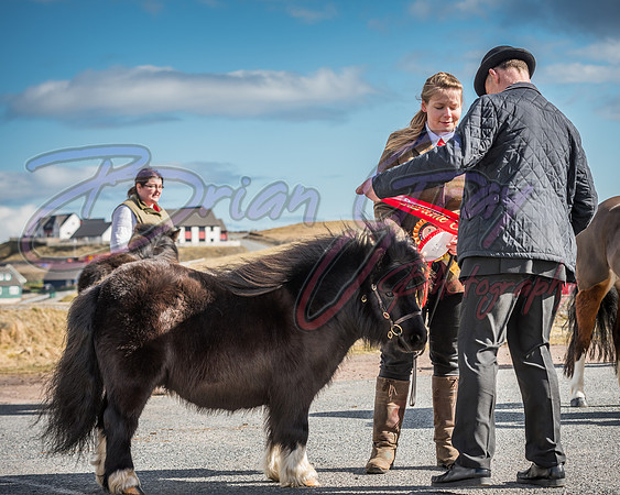 Serrang Equestrian 2018