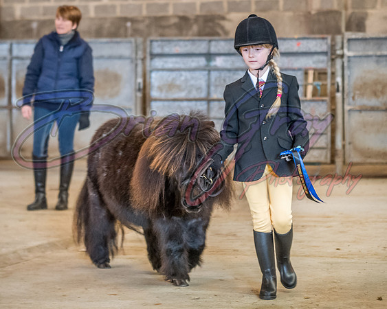 Serrang Equestrian 2018