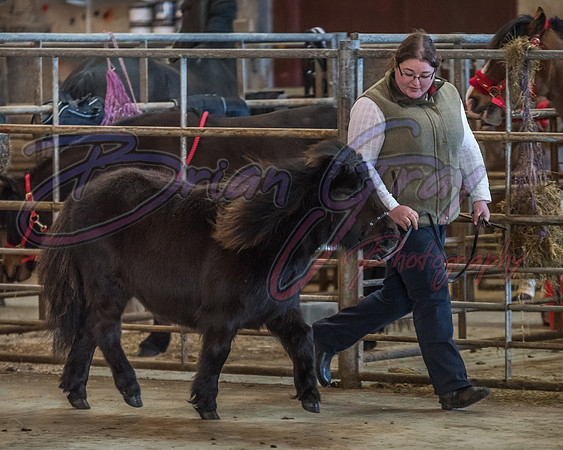 Serrang Equestrian 2018