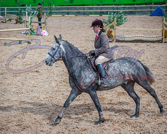 Solhiem Equestrian 2018