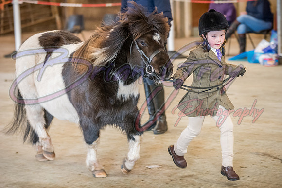 Serrang Equestrian 2018