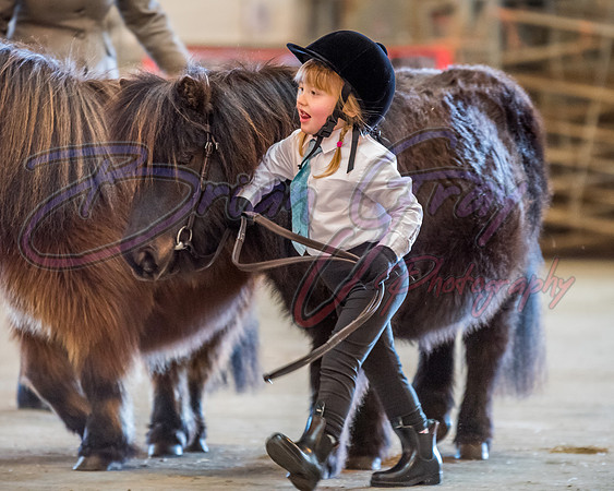 Serrang Equestrian 2018