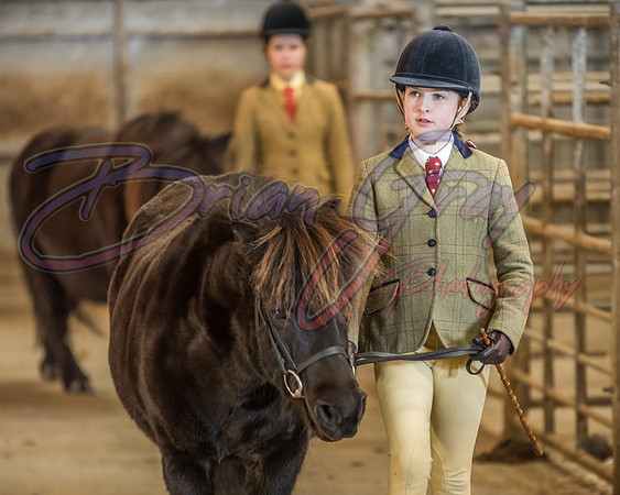 Serrang Equestrian 2018