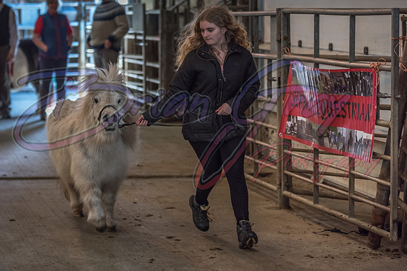 Serrang Equestrian 2018