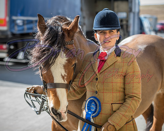 Serrang Equestrian 2018