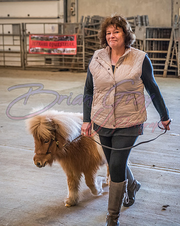 Serrang Equestrian 2018