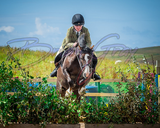 Solhiem Equestrian 2018