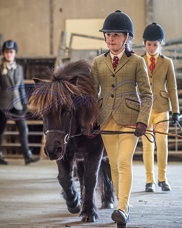 Serrang Equestrian 2018