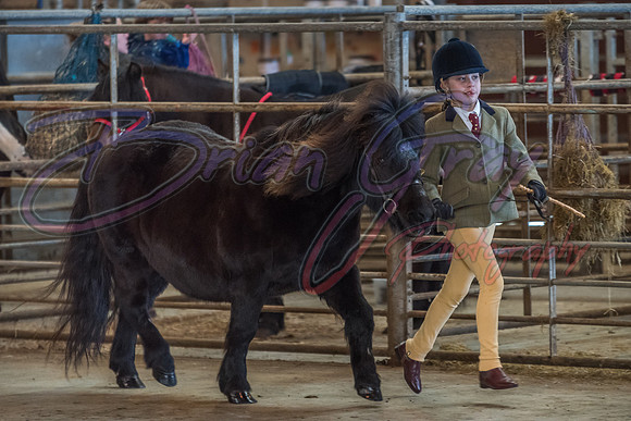 Serrang Equestrian 2018