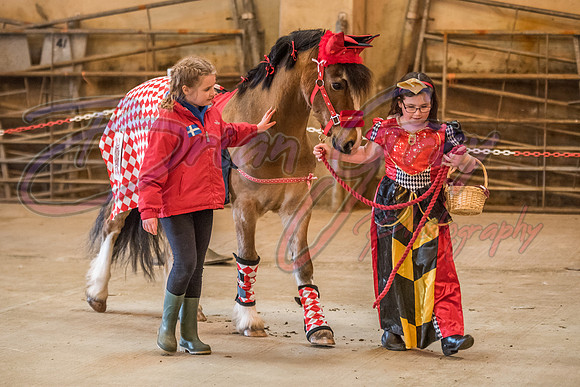 Serrang Equestrian 2018