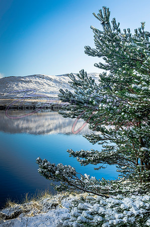 Loch of Voe