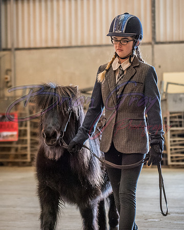 Serrang Equestrian 2018
